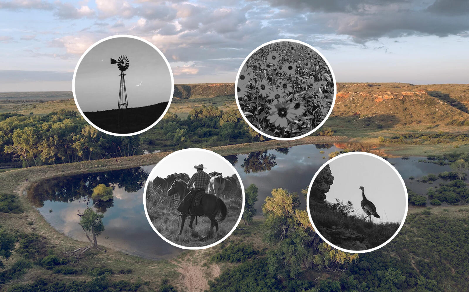 A collection of images from the Turkey Track Ranch listing (Icon Global)