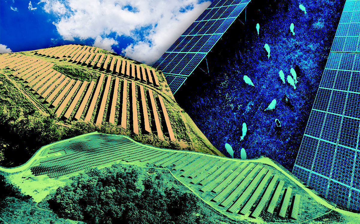 An illustration of solar farms in Newfield, Wappinger and Marlborough (Nexamp, iStock)