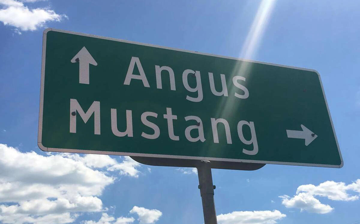 Mustang, Texas is now owned by billionaire Mark Cuban. (J Elmer Turner Realtors, Inc.)