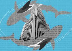 Brooklyn developer sues Daily News for calling him “land shark”