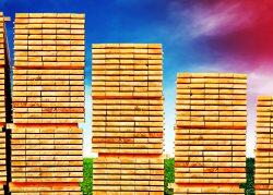 Lumber prices drop to new 2022 low in continued slide