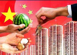 Garlic, watermelons help Chinese homebuyers save money