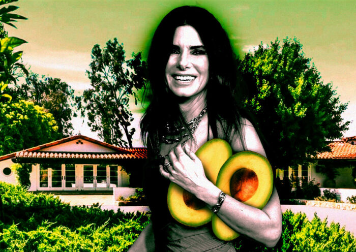 Sandra Bullock sells Valley Center avocado farm for $5.6M