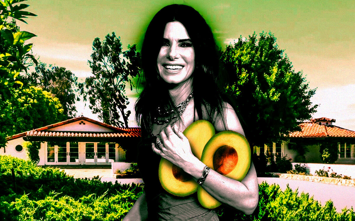 Photo illustration of Sandra Bullock and her 91-acre avocado farm home in Valley Center (Getty, HomeSmart Realty West)