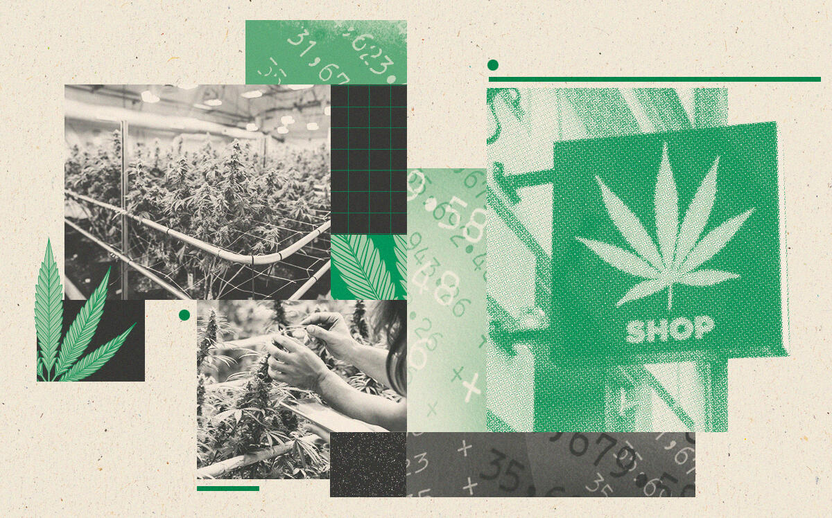 Cannabis shop, marijuana growing facilities