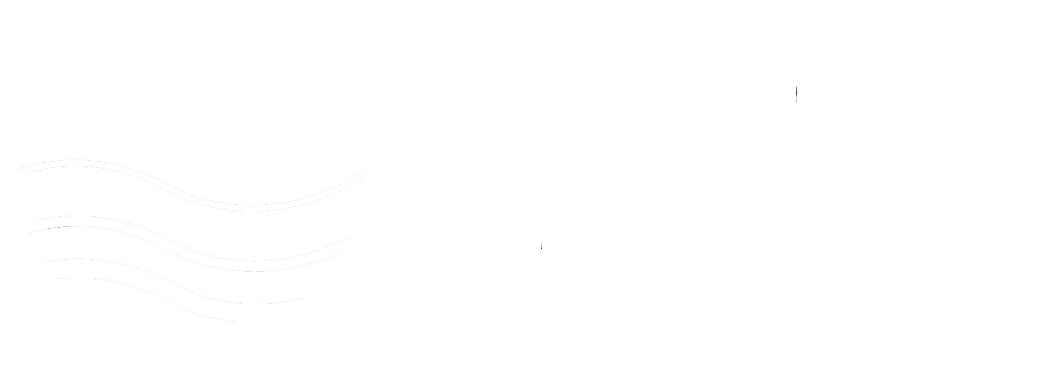 Elite Amenity Management