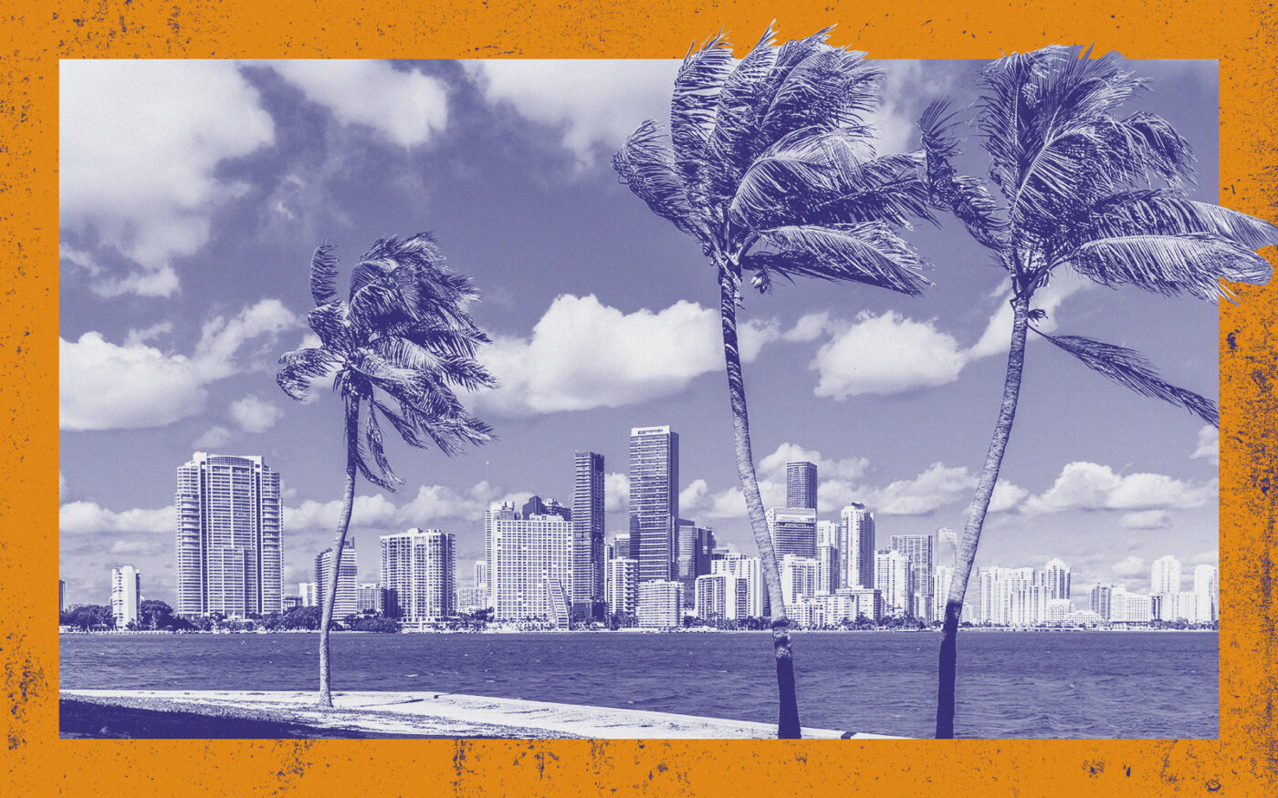 Miami skyline; palm trees
