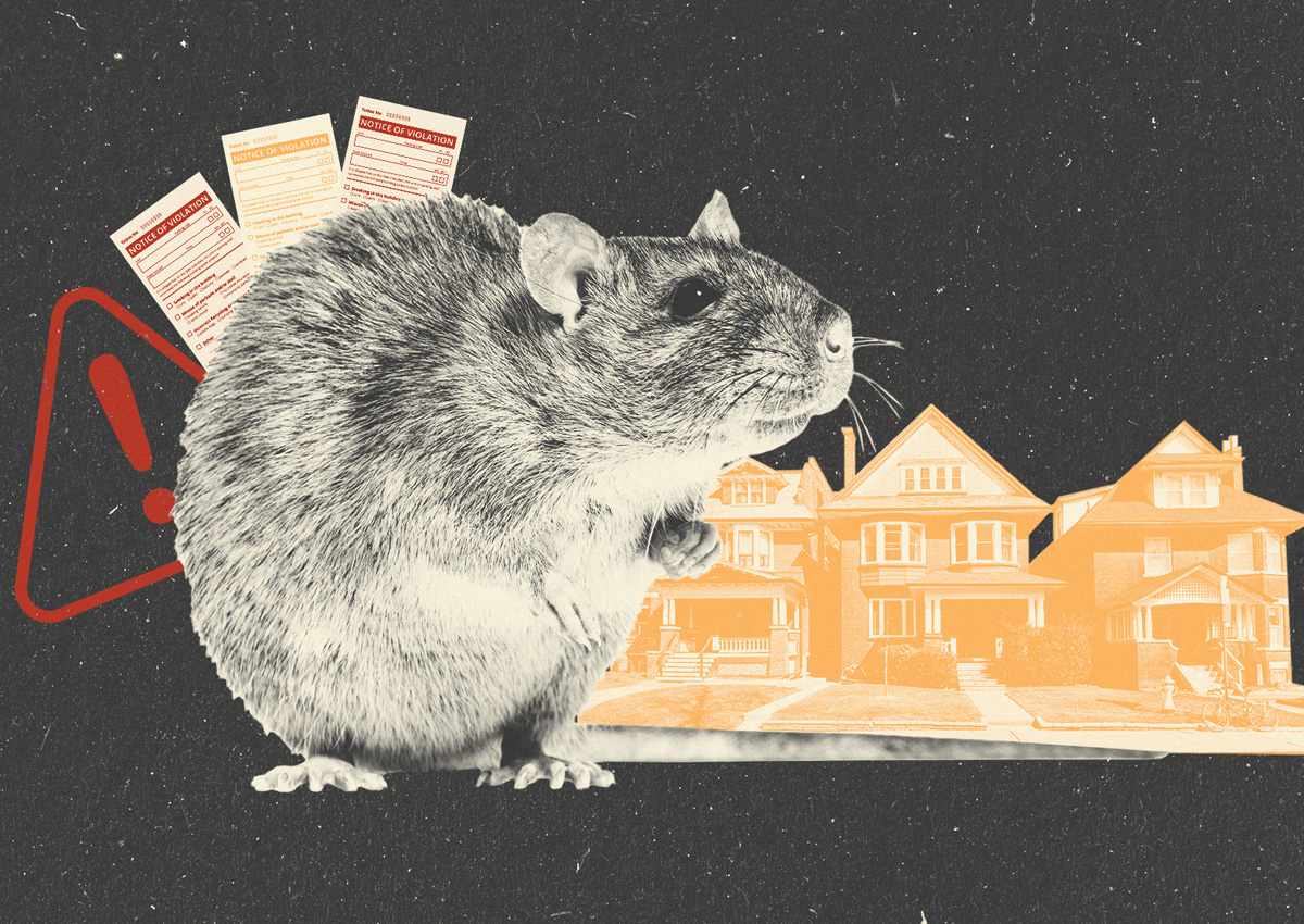 芝加哥土地所有者因与老鼠有关的罚款达到1500万美元