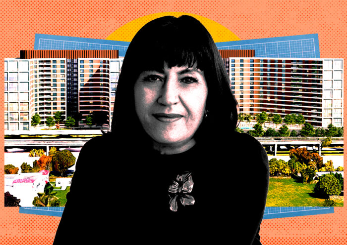 Vivian Dimond Plans Metrorail Housing Project in Miami