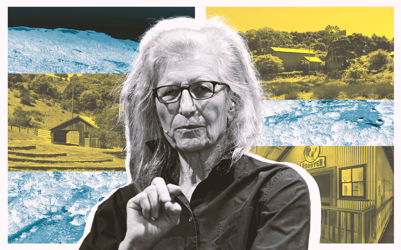 A photo illustration of Annie Leibovitz along with the estate at 605 Horseshoe Hill Road in Marin County (Getty, Jacob Elliot)