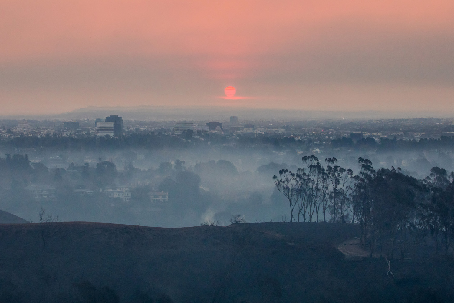 CRE Exposure to LA Wildfires Tops $2.6B