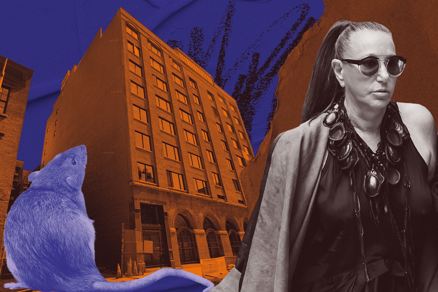 “Garbage dump”: Donna Karan brand sues neighbor over rat infestation