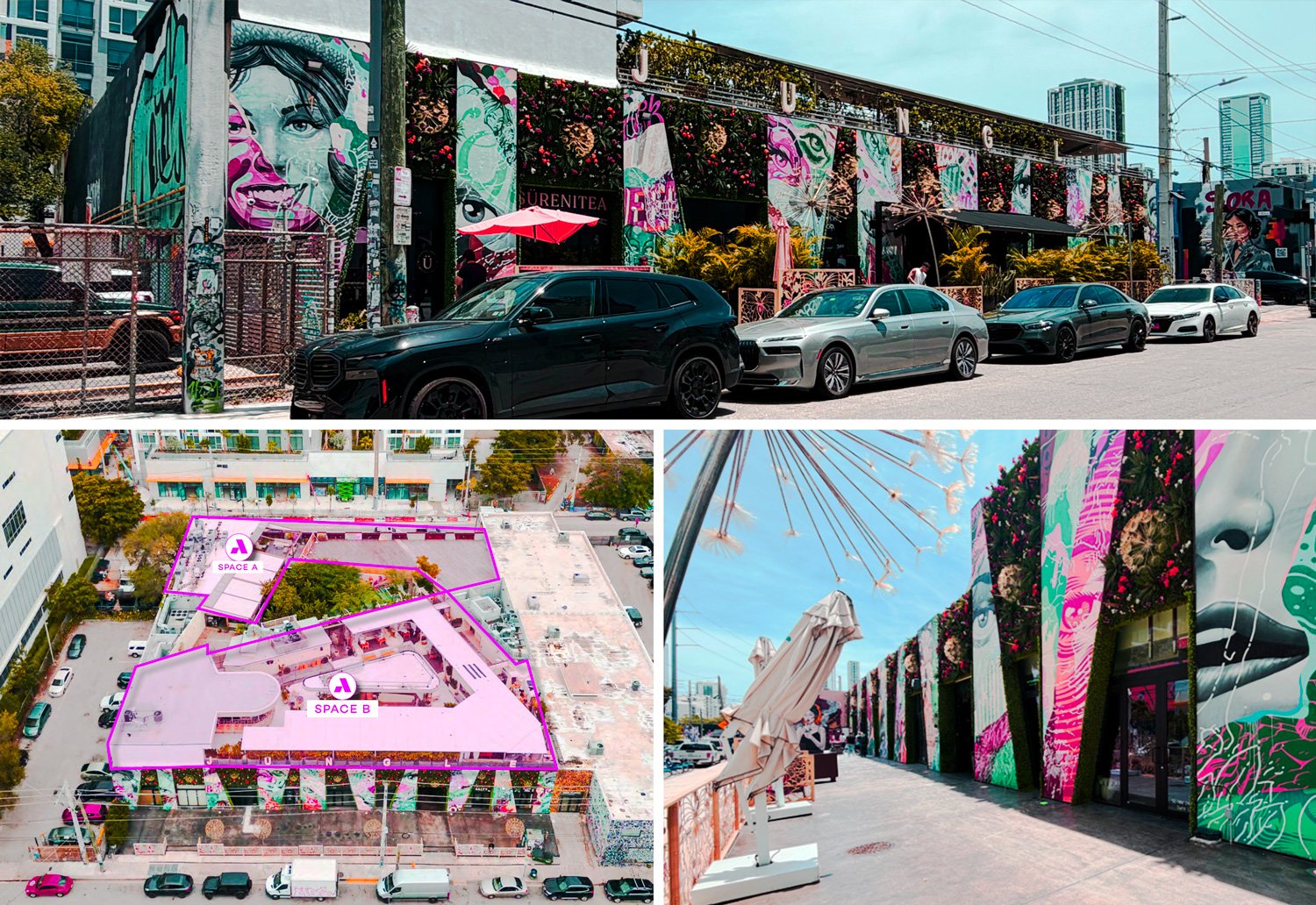 Tabani unveiled as buyer of Rivani's Wynwood Jungle for $26M